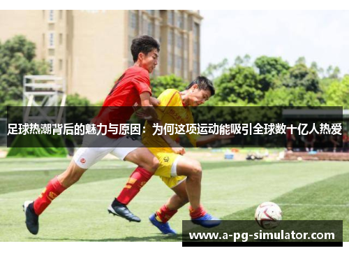 足球热潮背后的魅力与原因:为何这项运动能吸引全球数十亿人热爱 足球热潮背后的魅力与原因:为何这项运动能吸引全球数十亿人热爱